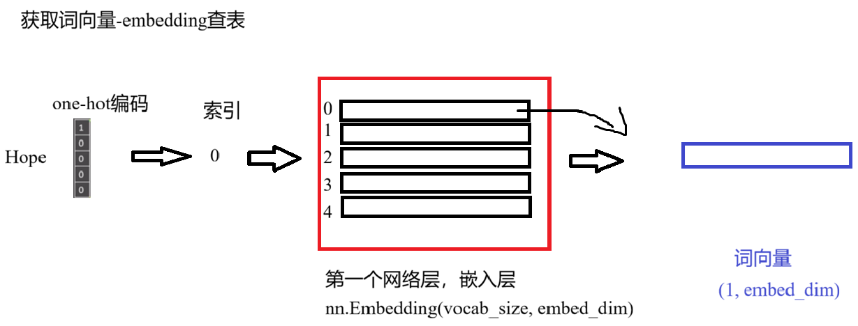 embedding 查表获取词向量