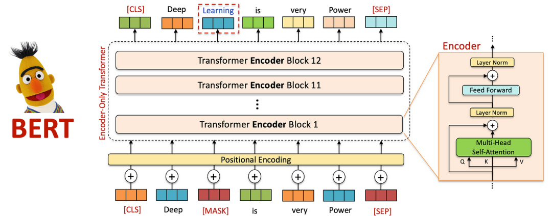 Encoder-only Transformer(BERT)结构