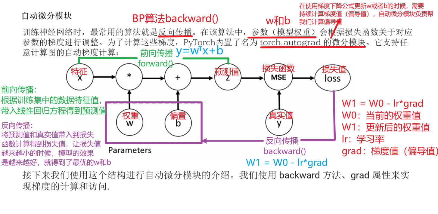 自动微分模块与 BP 算法计算图