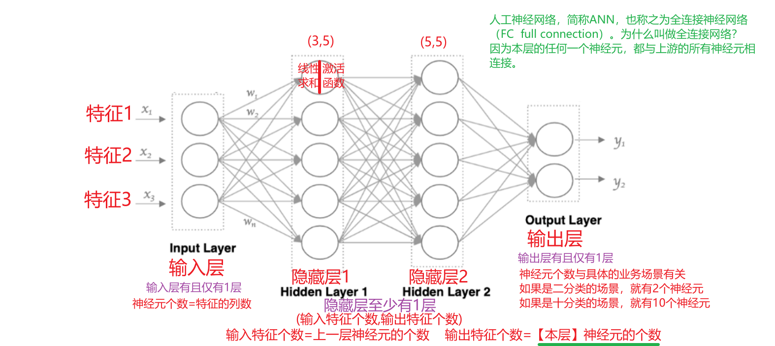 张量形状与网络结构示意